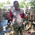 Jelang Idul Fitri, Dinperpa Pantau Lokasi Pemotongan Hewan dan Pasar Unggas
