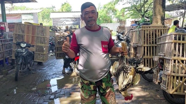 Jelang Idul Fitri, Dinperpa Pantau Lokasi Pemotongan Hewan dan Pasar Unggas