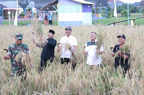 Mansur Berharap Edukasi Sawah Organik Lebih Diperluas
