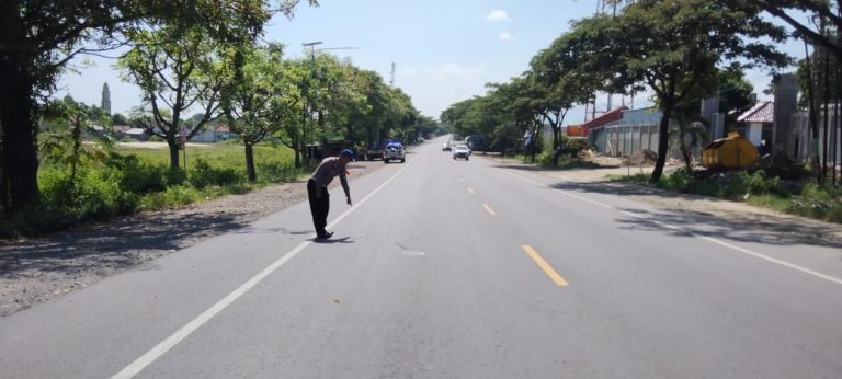Lagi, Jalur Pantura Pasar Banggi Rembang Kembali Menelan Korban Jiwa  
