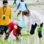 Jokowi Jelaskan Langkah Pemerintah Impor 2 Juta Ton Beras
