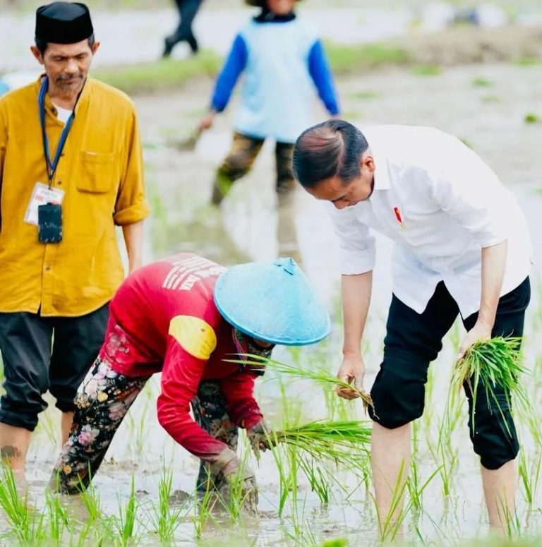 Jokowi Jelaskan Langkah Pemerintah Impor 2 Juta Ton Beras
