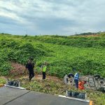 Kecelakaan Tunggal di Tol Batang-Semarang KM 366 B, Satu Orang Tewas