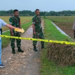Usai Memanen Padi, Buruh Tani di Grobogan Tewas Tersambar Petir