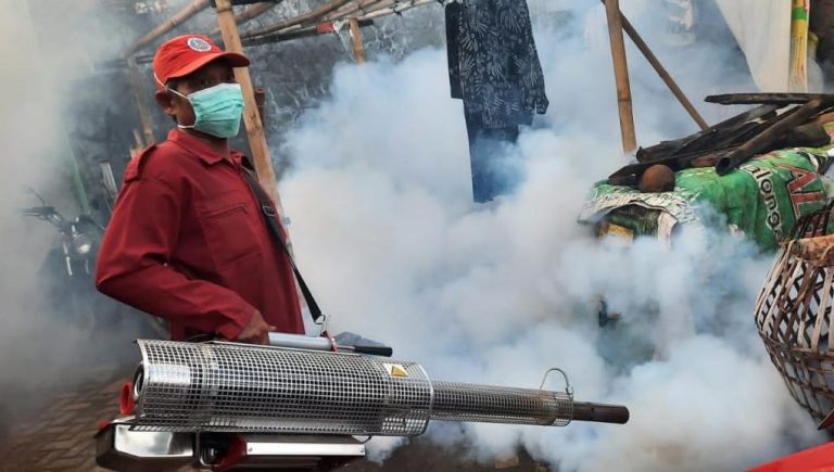 Cuaca Tak Menentu, Kasus DBD Meningkat, dari 35 Kasus 2 Meninggal