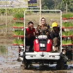 Percepat Masa Tanam Padi, Bupati Ingatkan Petani Soal Anomali Iklim dan El Nino