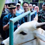 Tertinggi di Jateng, 4.976 Ekor Sapi di Kebumen Terkena LSD