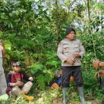 Polsek Rembang dan Tim Gabungan Temukan Lansia yang Hilang