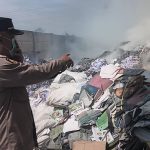 pabrik pengolahan kertas dan pallet kayu