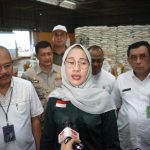 Antisipasi El Nino, Badan Pangan Nasional Dorong Penguatan Cadangan Pangan