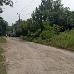 Terkendala Anggaran, Perbaikan Jalan Waduk Gembong Diusulkan ke Pusat