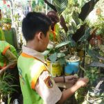 PT BPI Beri Pendampingan SD Negeri Karanggeneng 2 Jadi Sekolah Adiwiyata