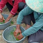 Punya Kelebihan, Petani di Rembang Mulai Dikenalkan Biosaka