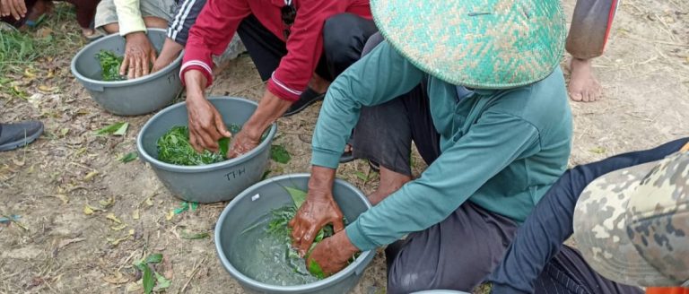 Punya Kelebihan, Petani di Rembang Mulai Dikenalkan Biosaka