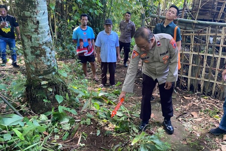Penderes Nira di Kutasari Purbalingga Tewas Terjatuh dari Pohon Kelapa