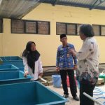 Tingkatkan Kuallitas Produksi Budidaya Sidat, Pemkab Cilacap Genjot Project IFish