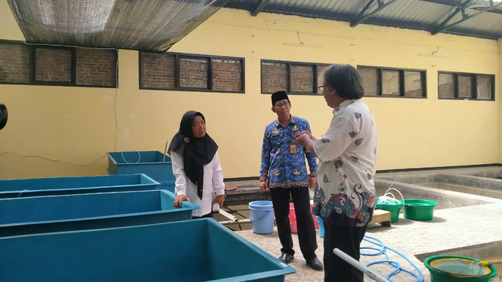 Tingkatkan Kuallitas Produksi Budidaya Sidat, Pemkab Cilacap Genjot Project IFish