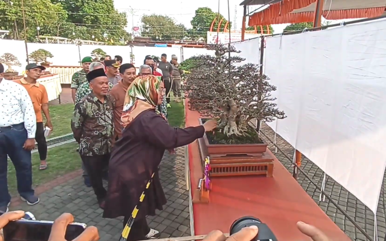 Buka Pameran Bonsai, Bupati Yuni Ajak Masyarakat Menikmati Indahnya Seni Bonsai