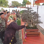 Kontes Bonsai Sragen, Naikkan Nilai Jual dari Ratusan Juta Hingga Miliaran Rupiah