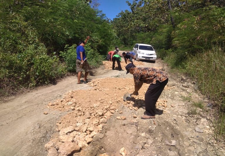 Digrosok, Ini Penanganan Sementara Kerusakan Jalan Penghubung di Desa Kepoh