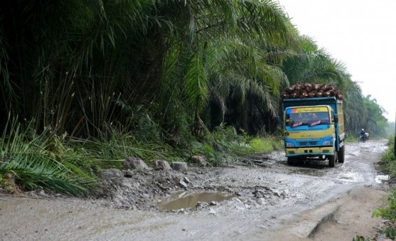 Anggarkan Rp14,6 Triliun, Kementerian PUPR Mulai Perbaikan Jalan Daerah pada Bulan Juli
