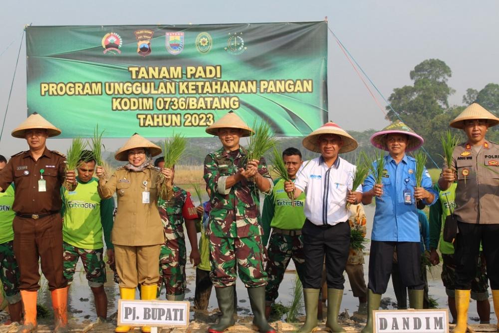 Varietas Protani dan Digadang-gadang Mampu Tangani Stunting