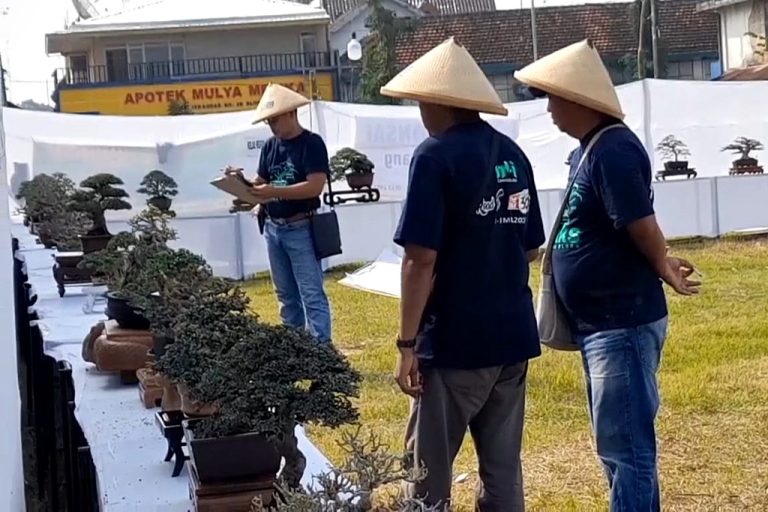 Kali Pertama, Kontes Bonsai Mini untuk Mewakili Tingkat Asia di Bali