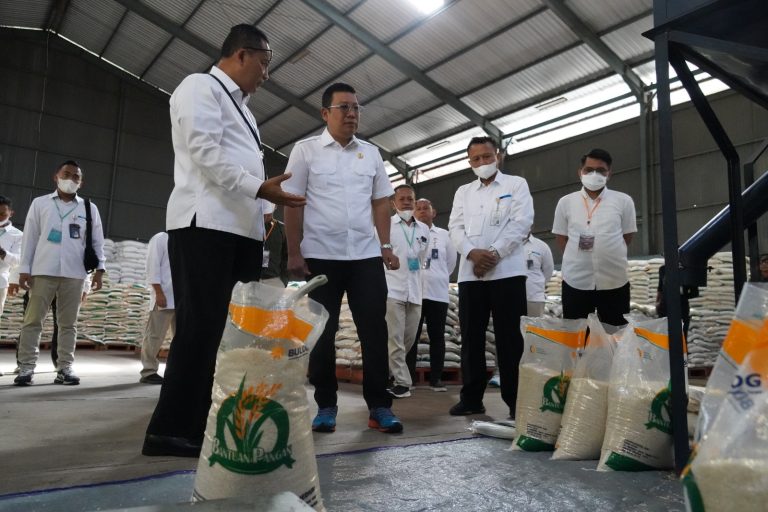 Badan Pangan Nasional Upayakan Jaga Stabilitas Stok dan Harga Pangan Usai Lebaran