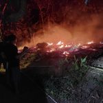 Ditinggal Saat Merebus Air, Rumah Warga Dimoro Habis Terbakar