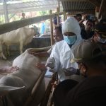 Jelang Iduladha, DKPP Jepara Intensifkan Pemeriksaan Hewan Ternak