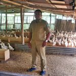 Budidaya Ternak Bebek Prospektif Dikembangkan di Desa Purworejo