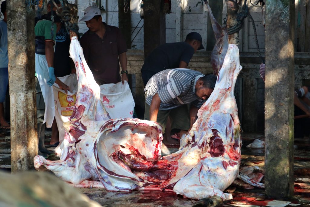 01-DAGING BLORA