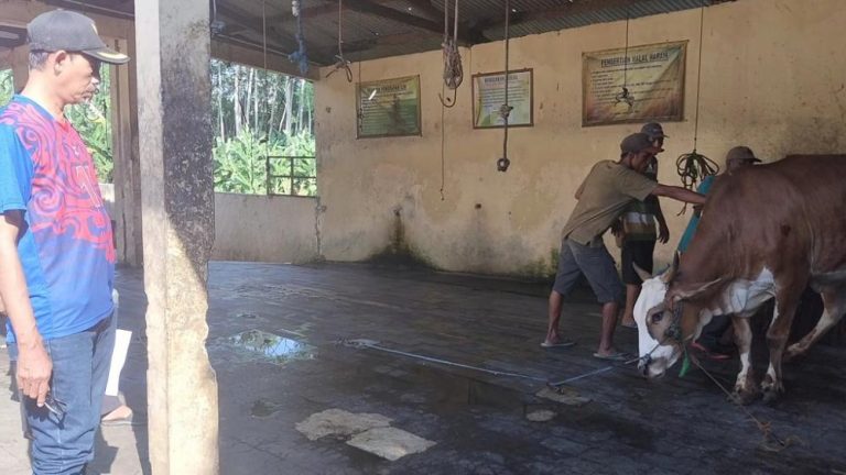 Jaga Higienis, Jamaah Muhammadiyah Percayakan Kurban ke Juleha