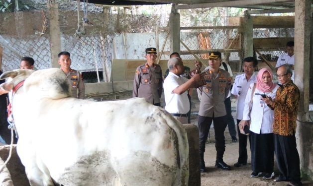 Bersama Dinas Peternakan, Kapolres Semangati Kasno Peternak yang Sapinya Batal Dibeli Jokowi