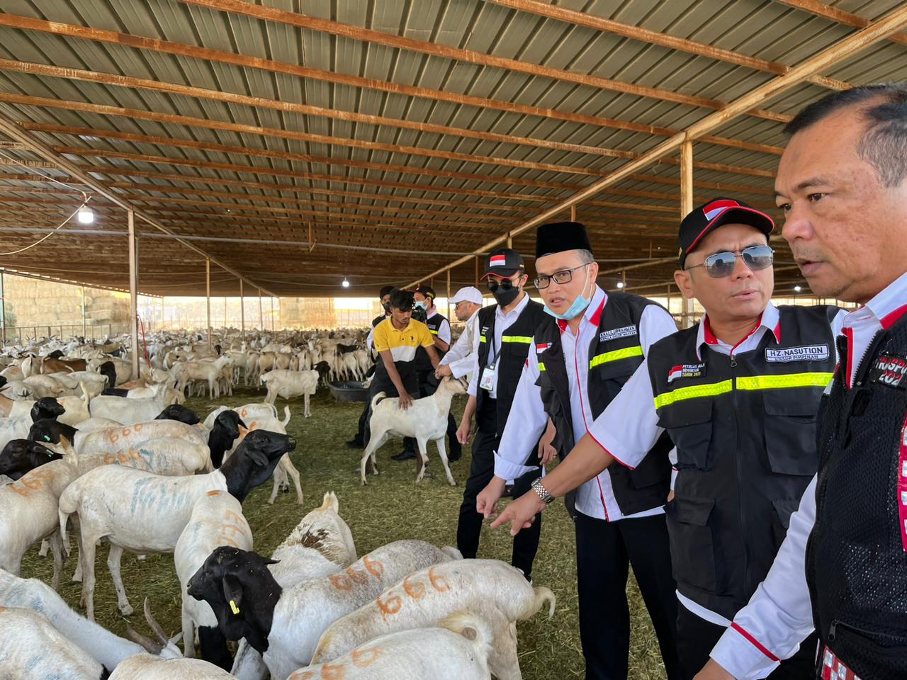 Pembayaran Dam Petugas Haji Kolektif, Dagingnya Dikirim ke Indonesia