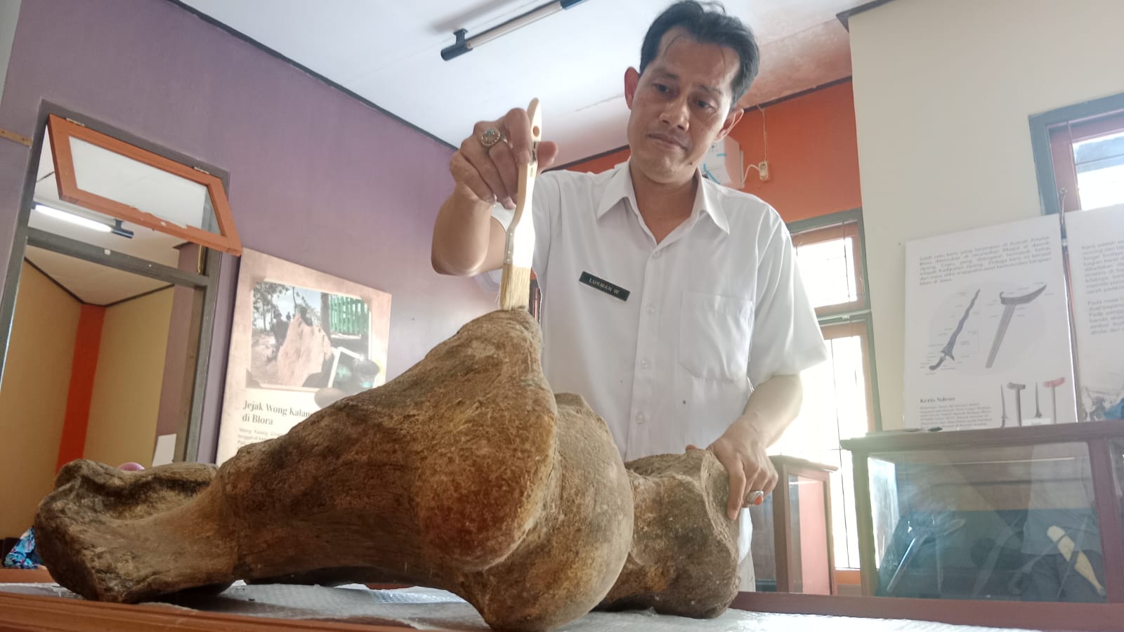 Ditemukan di Situs Kedung Wedus Desa Kapuan, Fosil Gajah Purba Berusia 300 Ribu Tahun