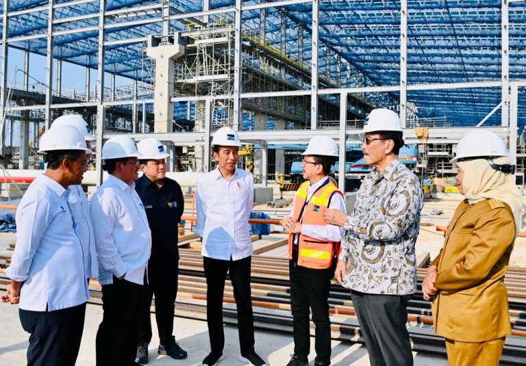 Presiden Jokowi meninjau proyek pembangunan pabrik smelter PT Freeport Indonesia, di Kabupaten Gresik, Jawa Timur, Selasa (20/06).