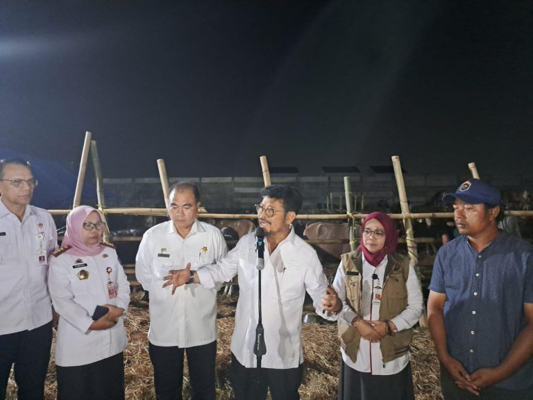 Surplus Hewan Kurban di Sulsel, Mentan SYL Siapkan 3,2 juta ekor Sapi di Seluruh Indonesia