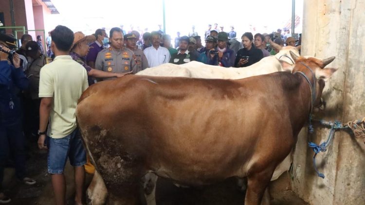 Jelang Iduladha 1444 H, Polres dan Disnakkeswan Jepara Cek Hewan Kurban
