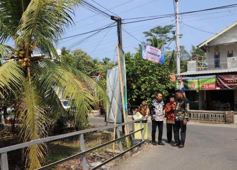 Tinjau Jembatan Sempit di Desa Tamansari, Bupati Janji Segera Dibangun