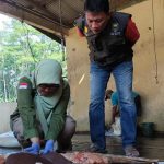 Dislutkanak Batang Terjunkan Tim Pemantau Kurban, Antisipasi Cacing Hati