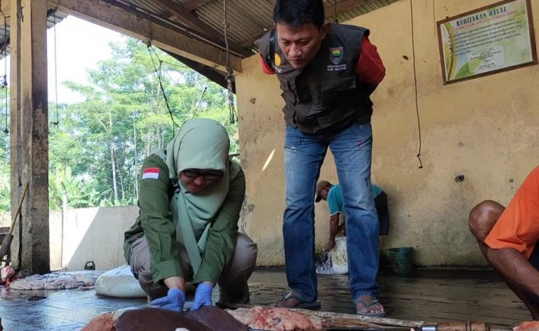 Dislutkanak Batang Terjunkan Tim Pemantau Kurban, Antisipasi Cacing Hati