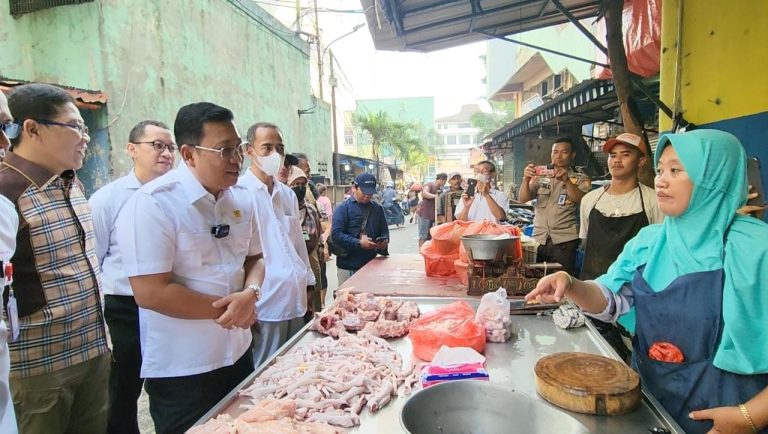 Cek Daging Ayam di Pasar Tradisional, Rp 50 Ribu/Kg itu Harga Ayam Fillet, Karkas Masih Normal
