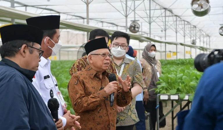 Soroti Keterlambatan Keberangkatan Jamaah Haji, Wapres Minta Maskapai Tepati Jadwal