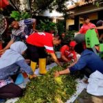 Sepanjang 3 Km Dipenuhi Eceng Gondok, Warga Gotong Royong Bersihkan Kali Banger