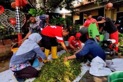 Sepanjang 3 Km Dipenuhi Eceng Gondok, Warga Gotong Royong Bersihkan Kali Banger
