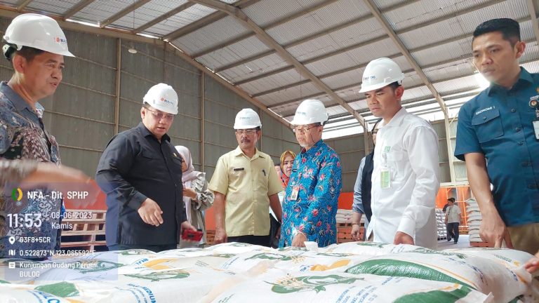 NFA dan Ombudsman Pastikan Penyaluran Bantuan Pangan Bulog Berjalan Lancar