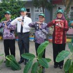 Bantu Atasi Stunting, Dinperpa Bagikan Bibit Pohon Pisang Cavendish