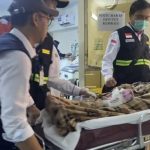 Evakuasi Jemaah Haji Sakit dari Madinah ke Makkah Resmi Dimulai