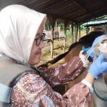 Cek Kondisi Ternak, Pastikan Peternak Patuhi Standar Kesehatan